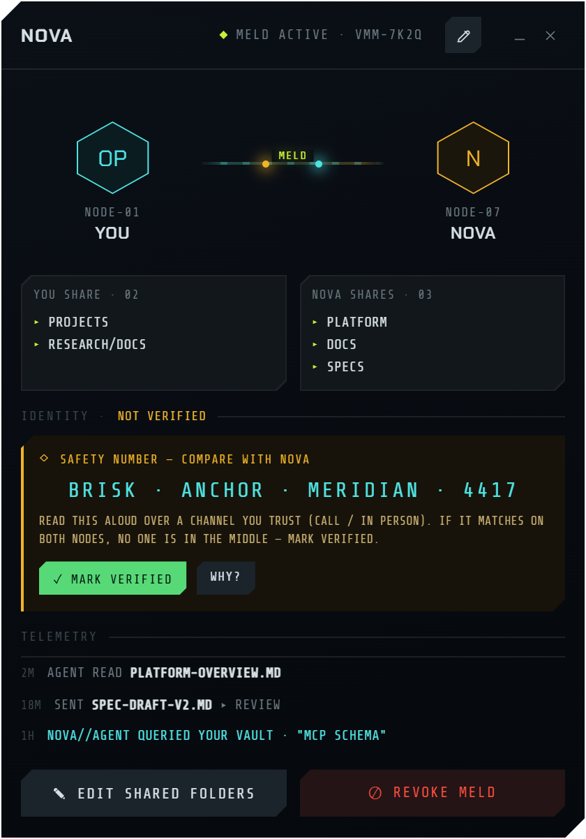 VulkanMM meld detail — verification + telemetry
